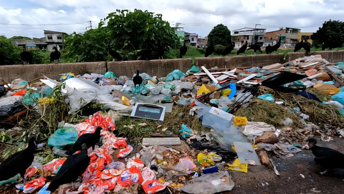 PeterDClack's tweet image. Belém, one week after COP30. Private jets gone. Raw sewage still runs in the streets. The shiny new &apos;Freedom Avenue&apos; is already a smugglers’ highway for illegal timber and cocaine. The 56,000 delegates partied on floating 5-star hotels, then vanished. The bill: $2 billion for a…