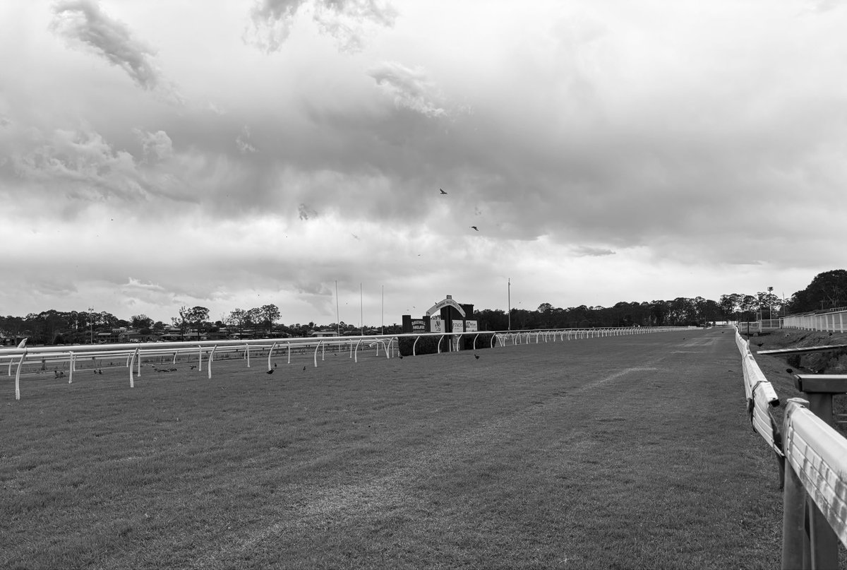 Manning Valley Race Club tweet media