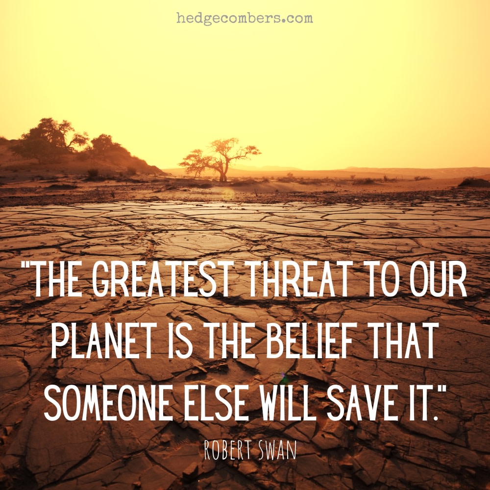 Jane 'Hedgecomber' Sarchet tweet media