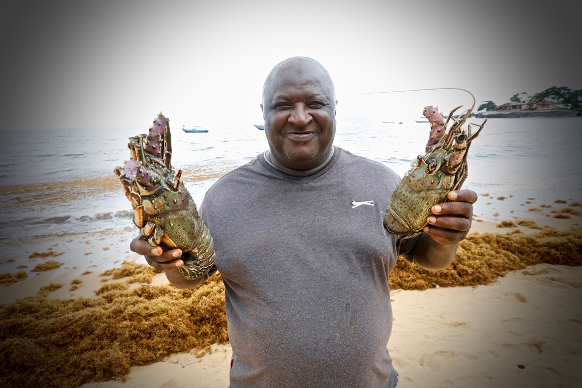 Vincenzo Giardina tweet media