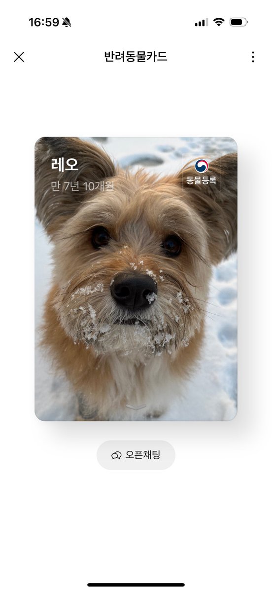 장안동불주먹 레오 (@leo_zip) on Twitter photo 