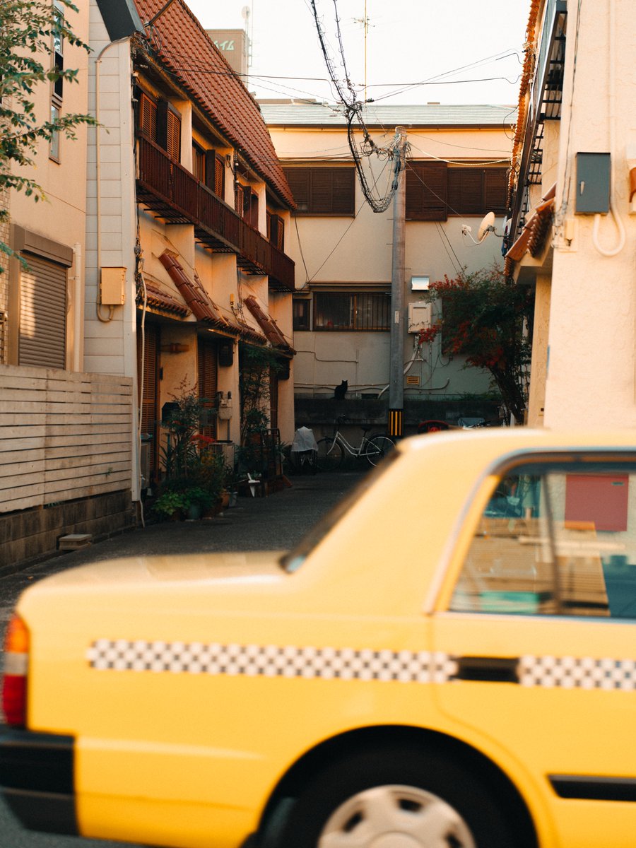 meeeetsu's tweet image. 