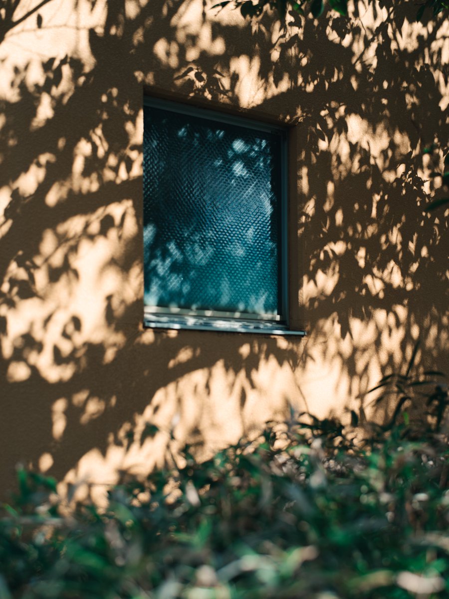 meeeetsu's tweet image. 