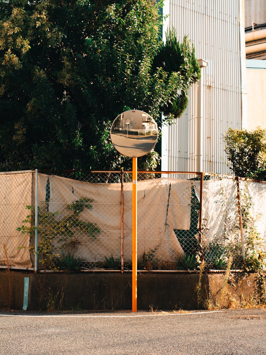 meeeetsu's tweet image. 