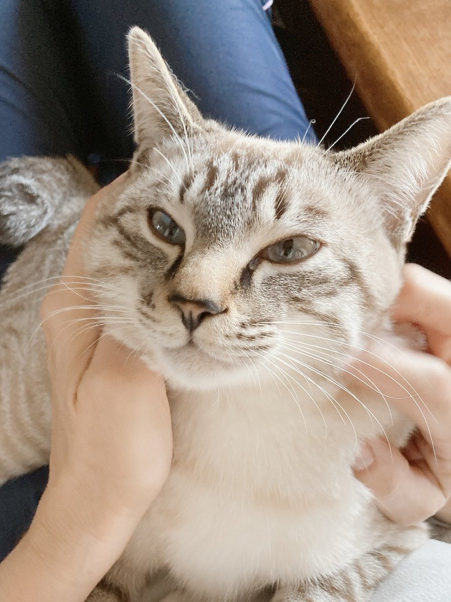 そらプロフ確認お願いします様　お取り引き　12/6 そら🐾 (@_sora0613_) / Posts / X