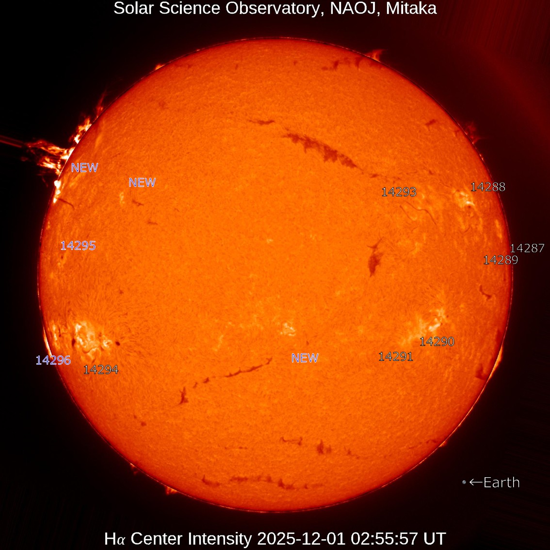 本日の太陽】2025-12-01のHα線全面像 活動領域14295,14296が新たに登録