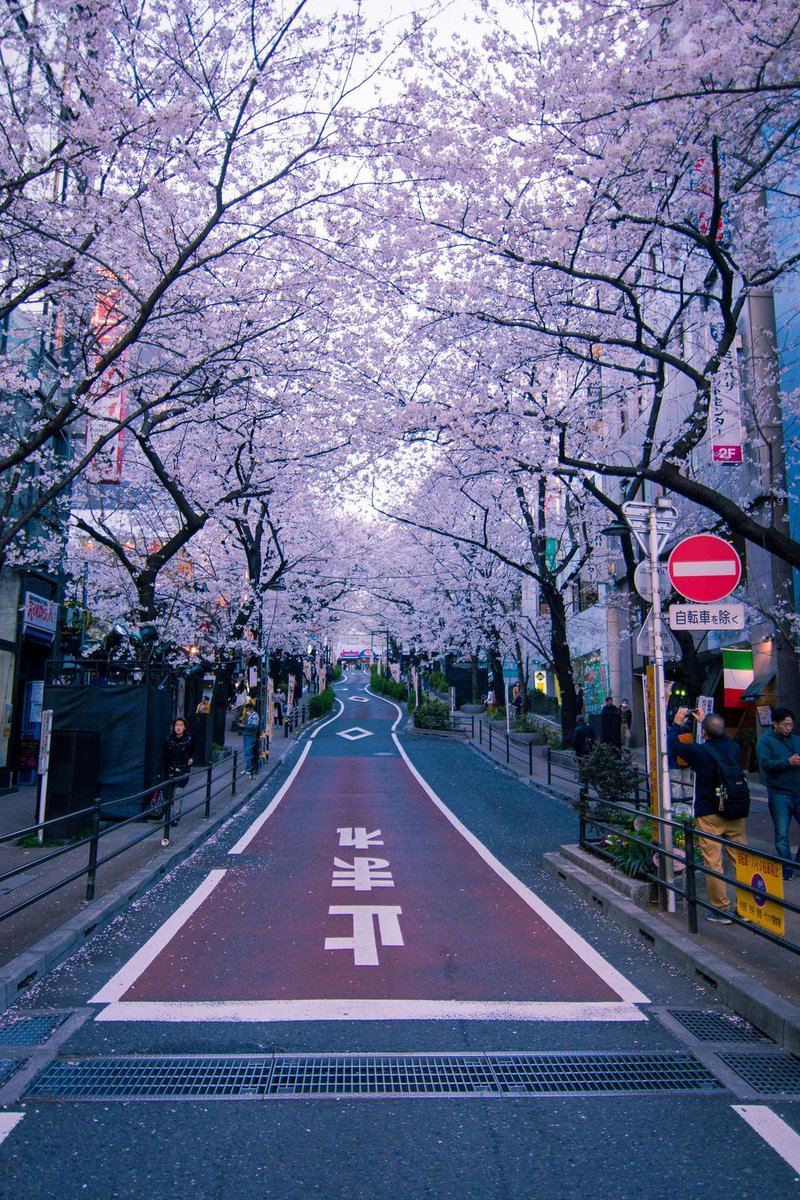 YusaDags's tweet photo. ちょっとだるい日。甘いもの補給したいしよかな 🌙 🤯 https://t.co/Rd1F7H2JTS