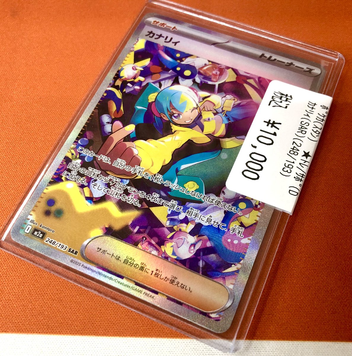 248/193/M2a/SAR カナリィ カナリィ SAR