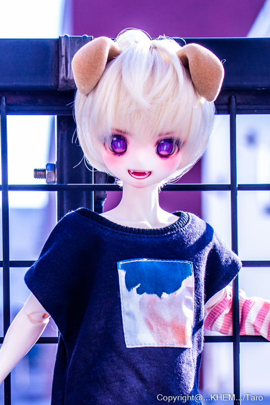 太朗 (@gib_taro) / Posts / X