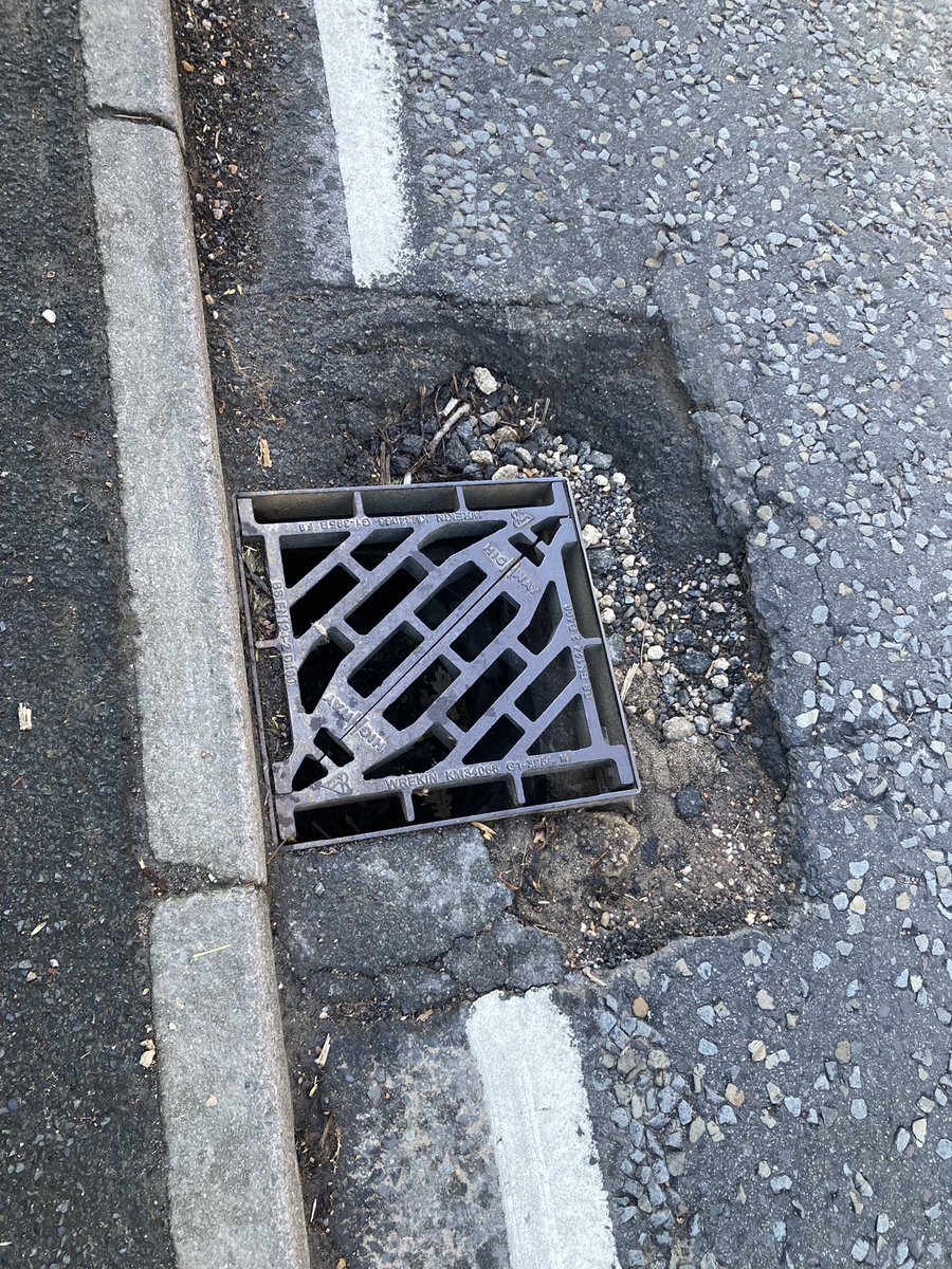 Roger Webb 💙 tweet media