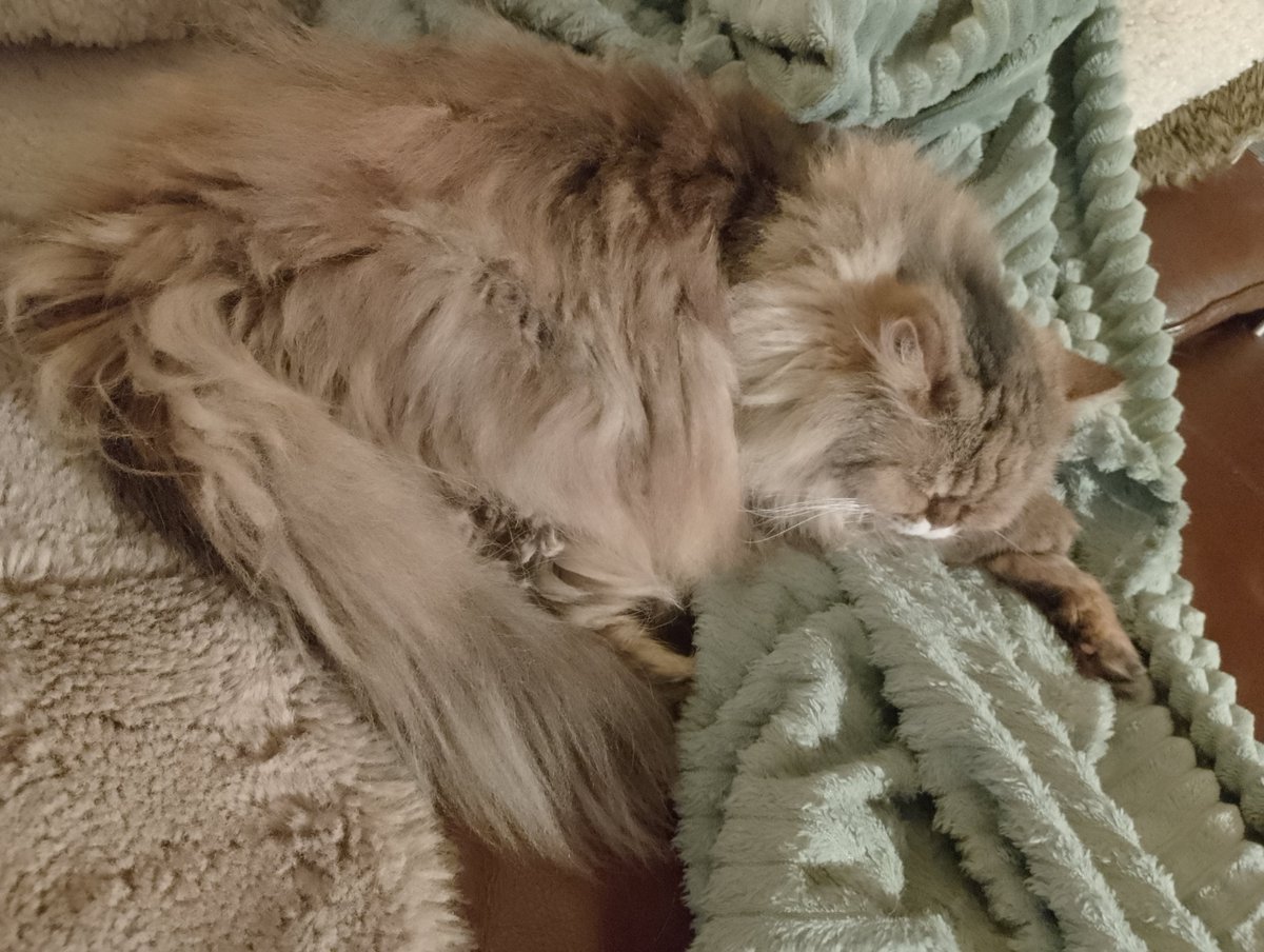 vhack0's tweet image. Its Moin Moin Monday my dudes!!!

I hope you all got a great start into the week