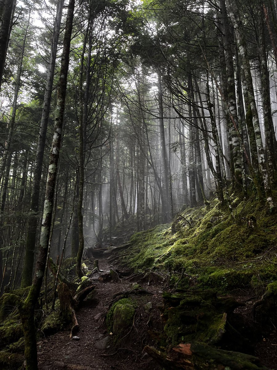 _______atarayo7's tweet image. @no_TL

まもなくthirty / 東京の隣でふたり暮らし /
自然 食事に生かされている /触れる音楽は専ら日本語hiphop / 
自身のケアとしてネイルを始めた /言語化は得意ではないけれど好き

ゆるゆる日常をのぞかせてください🌈

#セクマイカップルさんと繋がりたい 
#大人なセクマイさんと繋がりたい