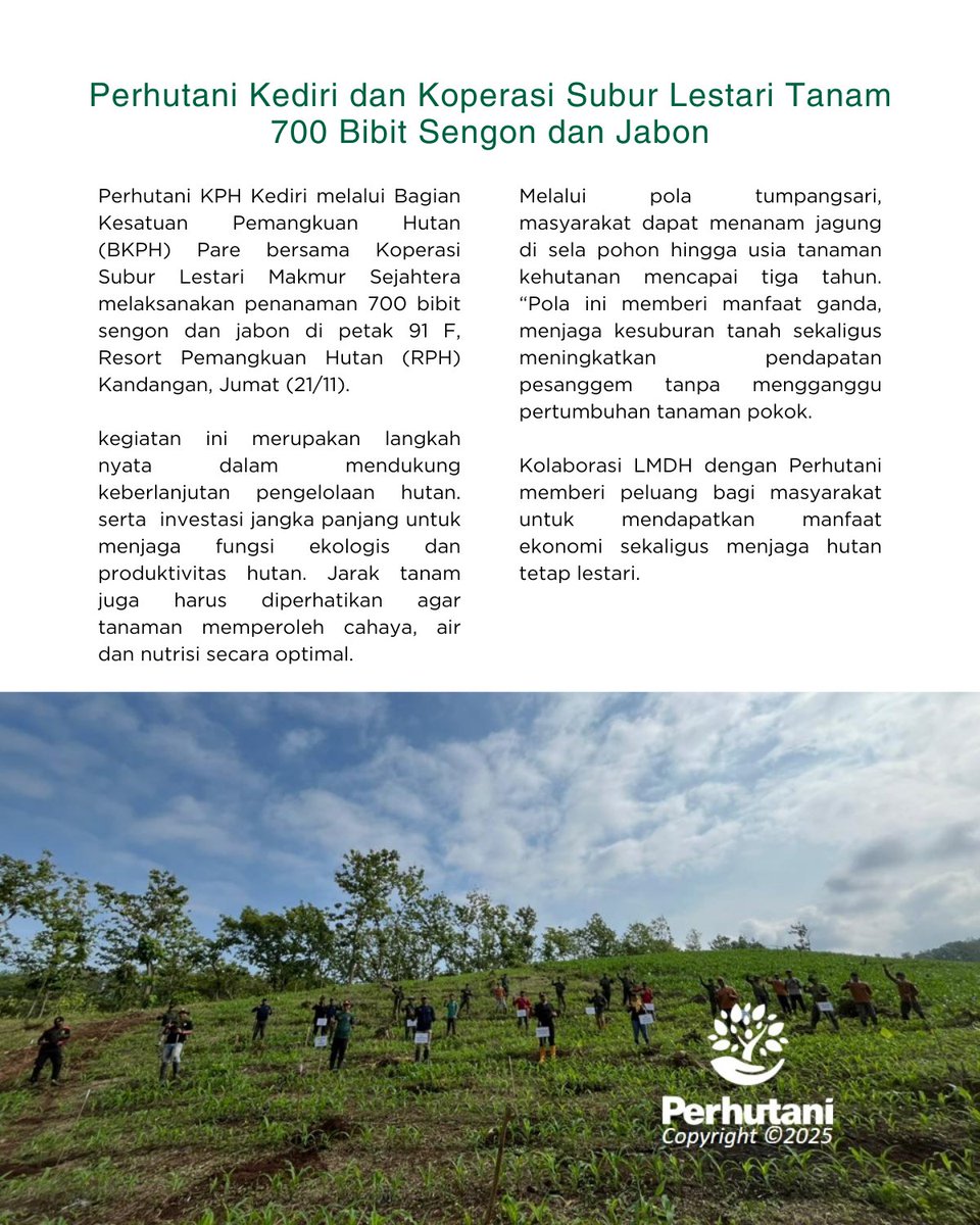 Perum Perhutani tweet media