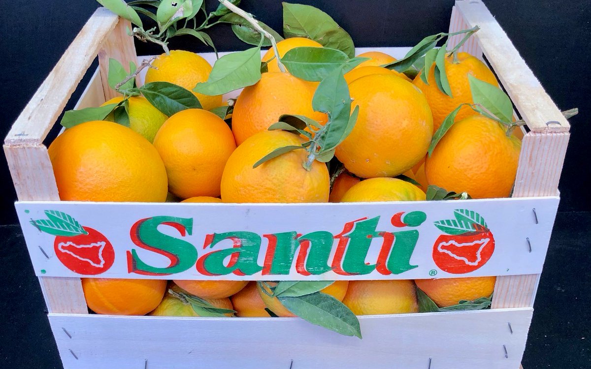 La Newhall Santi de Sicile, l’authentique !

La Newhall avec feuilles Santi de Sicile revient...

Lire la suite >>> banagrumes.com/produit/la-new…