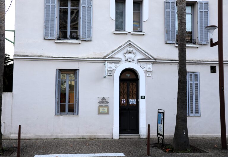 PALM BUS tweet media