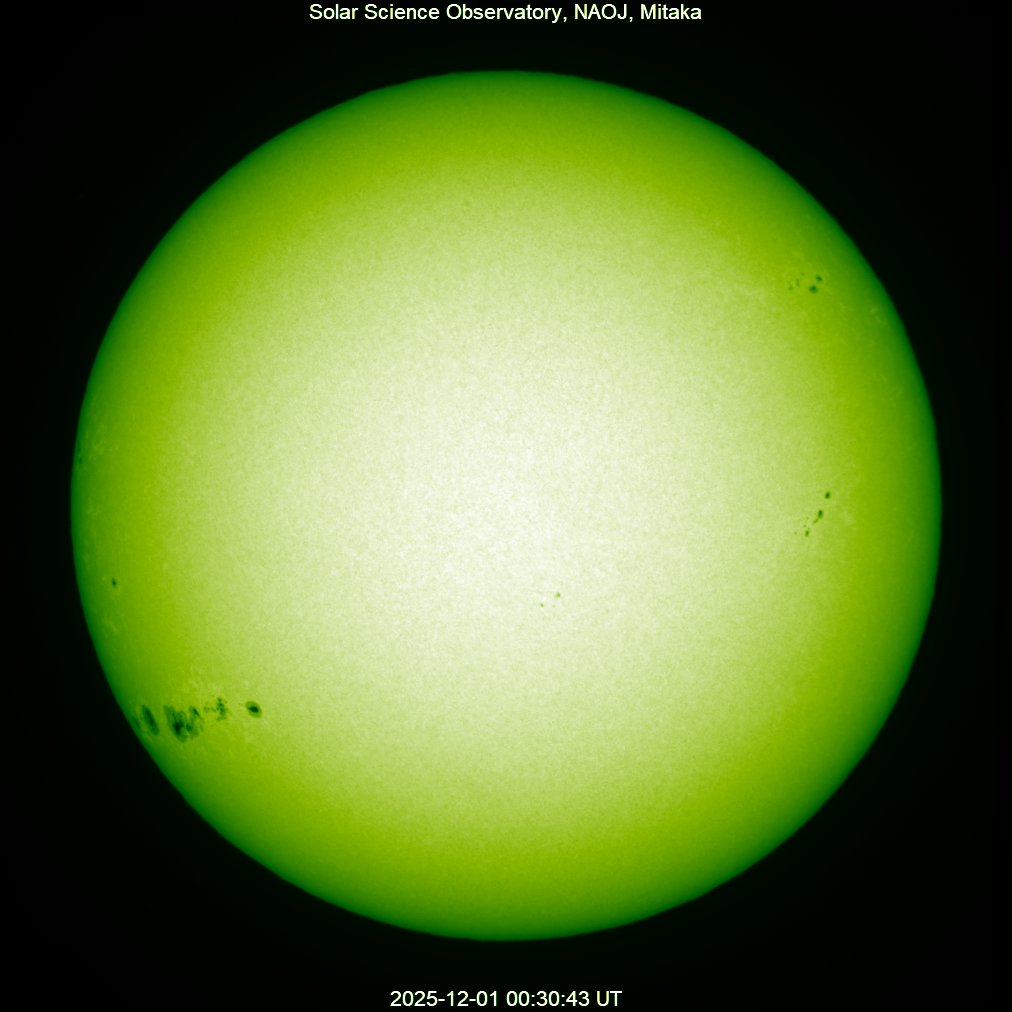 緑の太陽の頂点　3枚 150)《緑の太陽の頂点/Green Sun's Zenith》[2X2] 緑R | 日本最大級