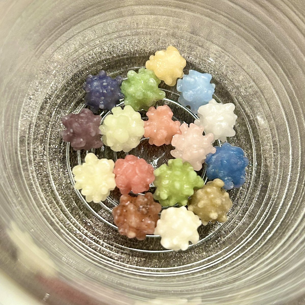 バーストの金平糖とポストカード全員分揃った！ 1月からこれがやり