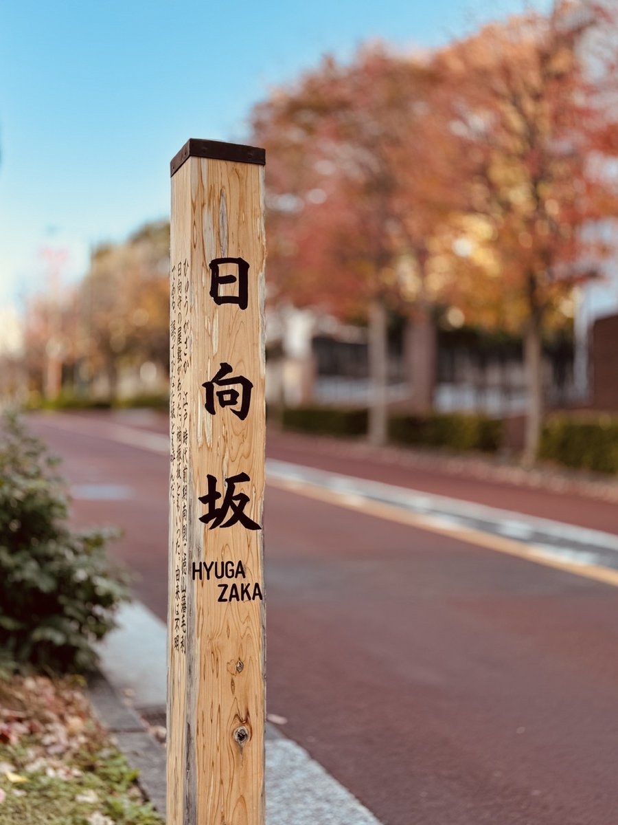 hinatazaka46's tweet image. 【ブログ更新☀️ 松田好花】 この場所が好きだから hinatazaka46.com/s/official/dia… #日向坂46 #松田好花