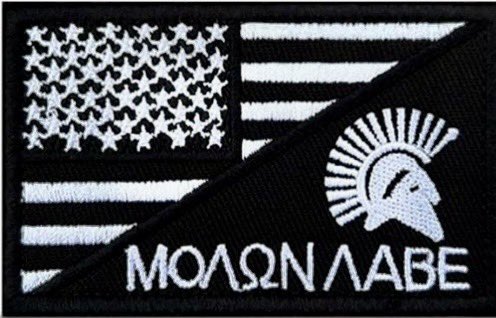 4Freespeak's tweet photo. Dear #GunGrabbing #Skinhead Vile #Inbreeding #JihdiPOS :
By attempting to violate OUR #CivilRights you,
Guaranteed your return to #Somila
Plus:
Immigration FRAUD
#INCEST
Both, grounds for #RevocationOfCitizedship = #DisqualifiedForOffice
Your Family Was #ProGun in Somila!
#NurOmarMohamed, your father, was, according to Somali journalist Ibrahim Hirsi, an “esteemed senior colonel” in Siad Barre’s army, who led the Somali invasion of the Somali region of Ethiopia in the late 1970s. Nur Omar Mohammed “led a significant role in the war”
In the early 1980s, rebels began a campaign to depose Barre. This culminated in the Somali Civil War. Barre was overthrown in 1991, which then allegedly prompted your #Omar family to flee Somalia. Y’ALL WERE THE OPPRESSORS, ILLIAN! But you know all this.
Because of your family’s murderous actions, you & your family spent four years in a refugee camp, before receiving asylum to the United States in 1995.
Several other members of your brutal family, including your grandfather, worked for the Barre regime.
TAKE YOUR $30 MILLION USD & LEAVE, NOW! Or, #ICE WILL DO IT FOR YOU, ILLIAN. #GTFO
#2A
#@IlliHanMN