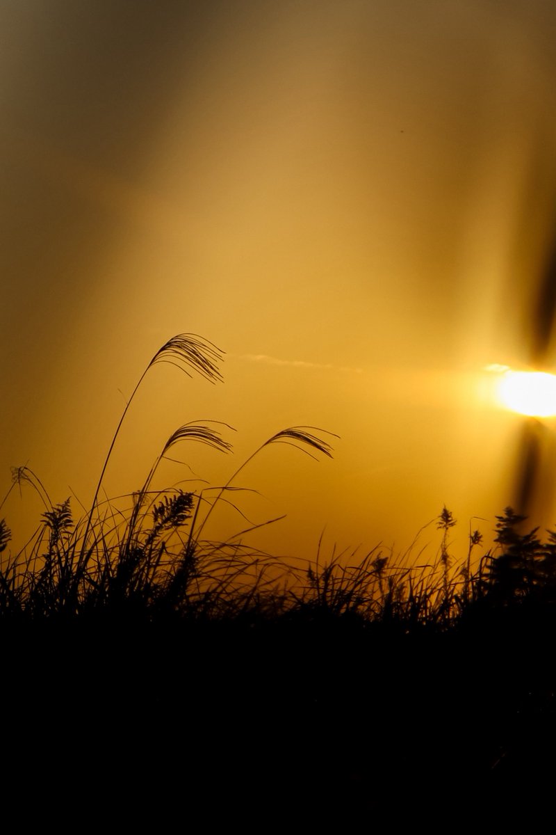 もう12月か早すぎる。
