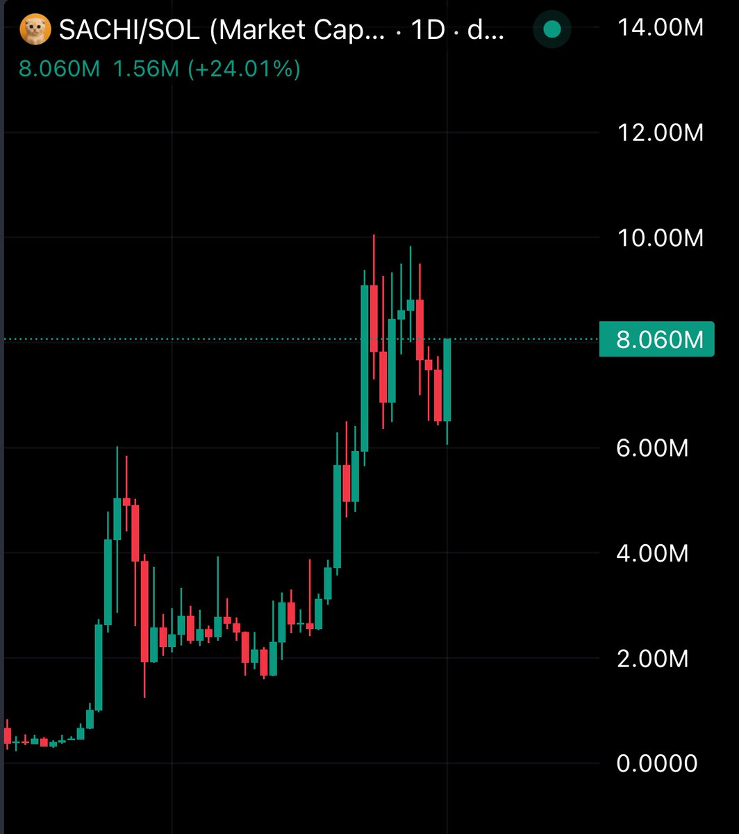 I don't see any bear vibes on the $SACHI community even though we are in the darkest Crypto moment this year.