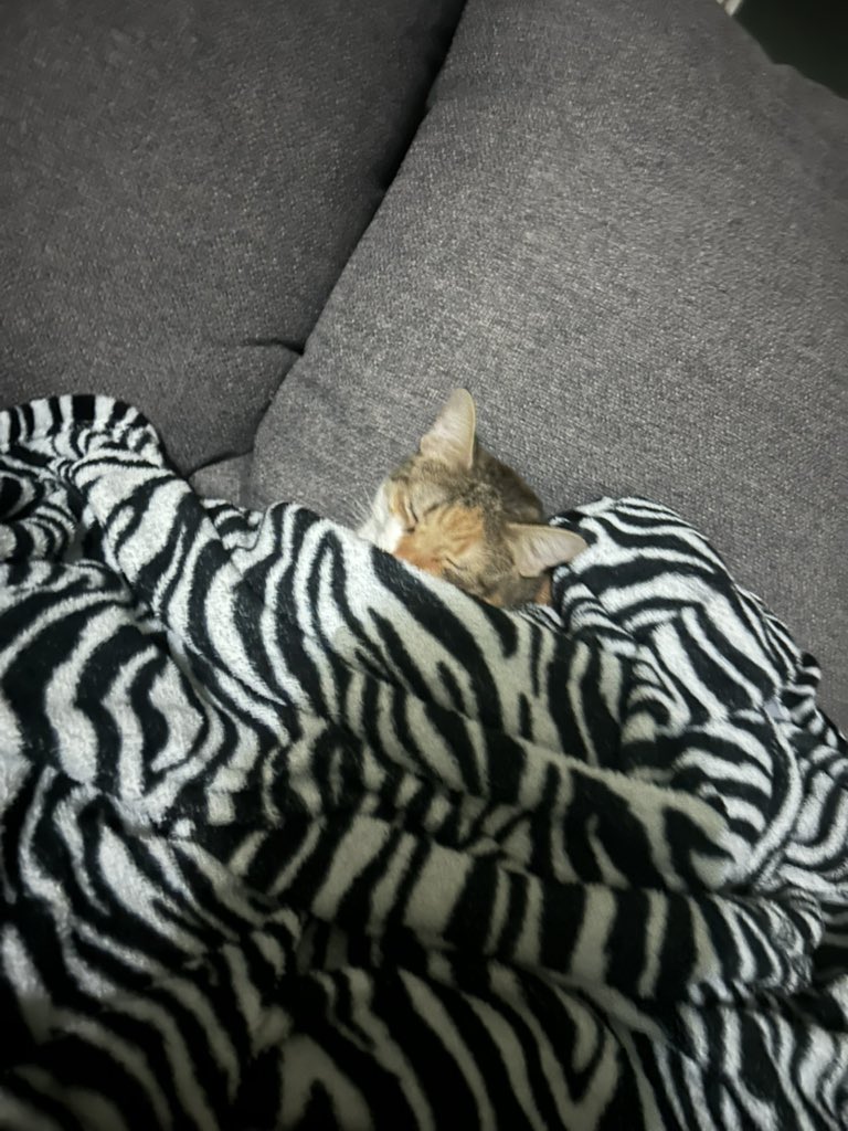 TIENE FRIOOO MI BEBEEE