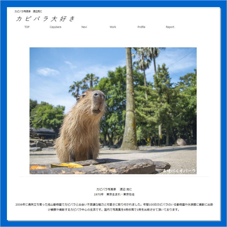 この度、７年ぶりにホームページ「カピバラ大好き」をリニューアル致しました。

capybara.eek.jp

少しシンプルにして、新たに少しずつコンテンツを追加していこうと思っております。
昔も今もホームページビルダーを使って作っております。

#カピバラ #capybara #水豚 #ホームページ