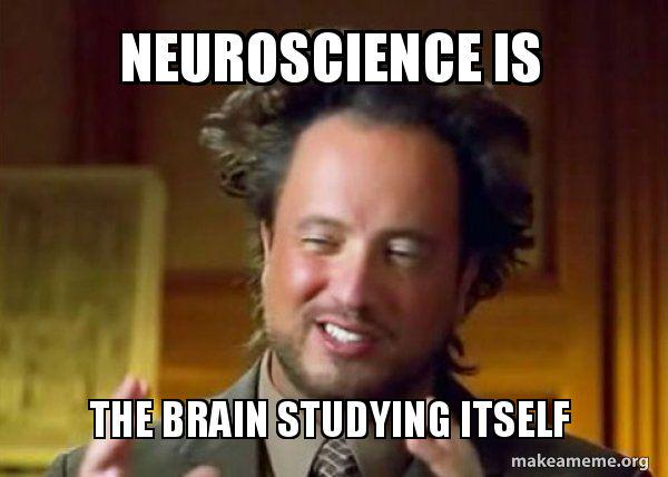 ThePhysicsMemes's tweet image. What is neuroscience again? #class