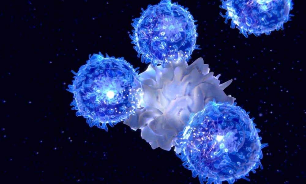 Prof. Dr. Güner Sönmez tweet media