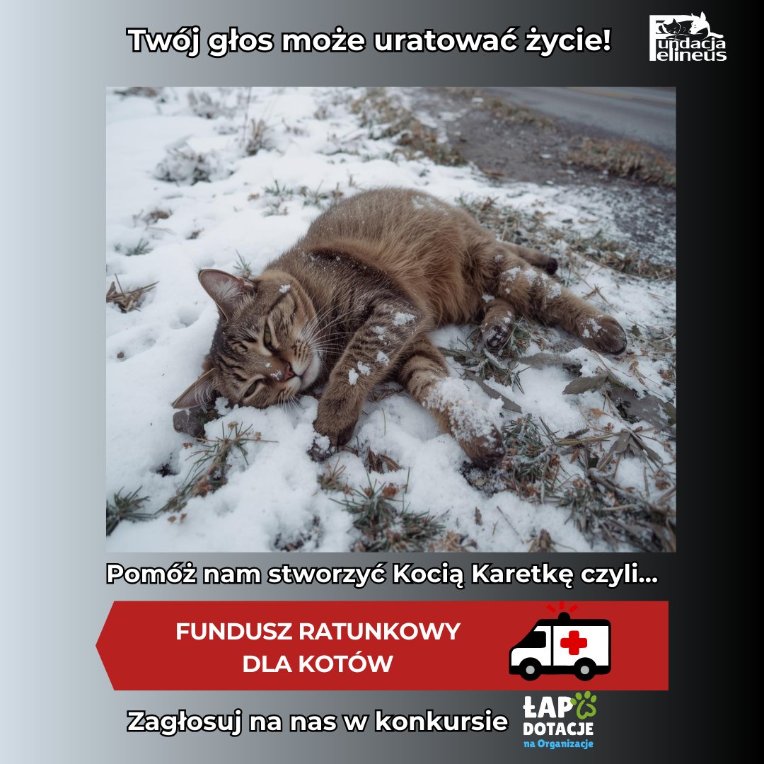 F_FELINEUS's tweet image. Jedna złotówka - jedna szansa na lepsze jutro. 🫶
Bezdomne koty nie mają nikogo poza nami - a my potrzebujemy Ciebie. 🫵
Każda wpłata to realna pomoc: leczenie, jedzenie i dom tymczasowy. 
Razem możemy odmienić ich los ‼️
ratujemyzwierzaki.pl/kocia-karetka

#koty #KociaKaretka #szansa
