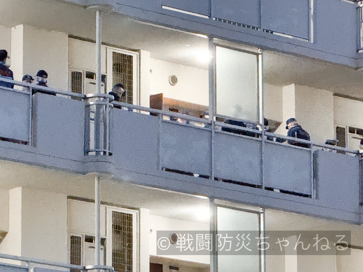 戦闘防災ちゃんねる tweet media