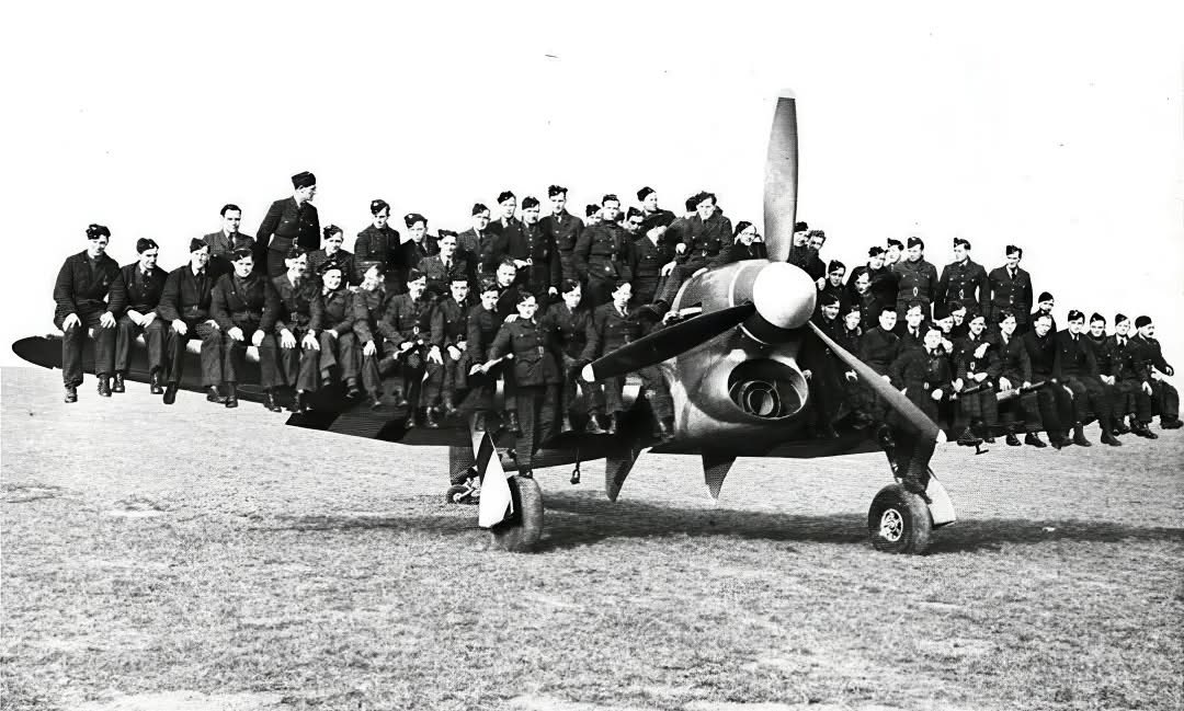 Chris Bolton tweet media