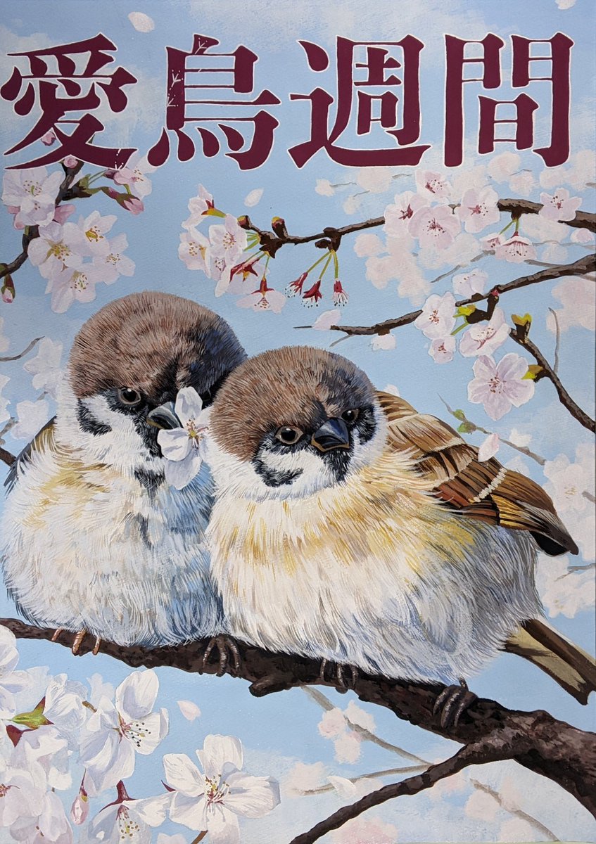 スズメ、色紙です、 スズメってよく見ると強気で好戦的な顔してるよね。