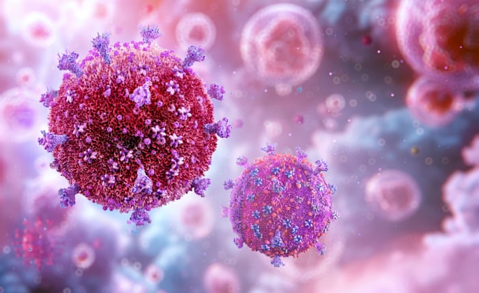 LIVE ALIVE NETWORK tweet media