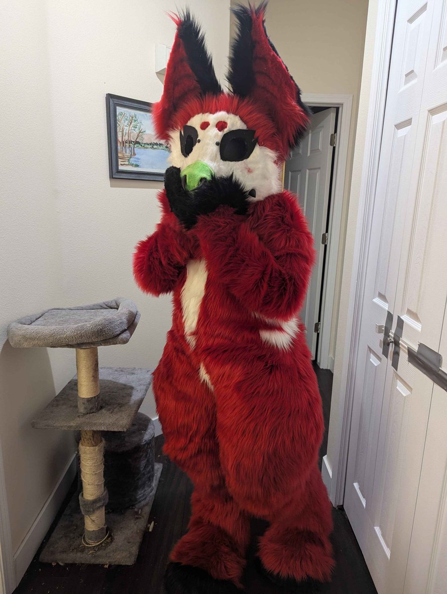 styx🦇 tweet media