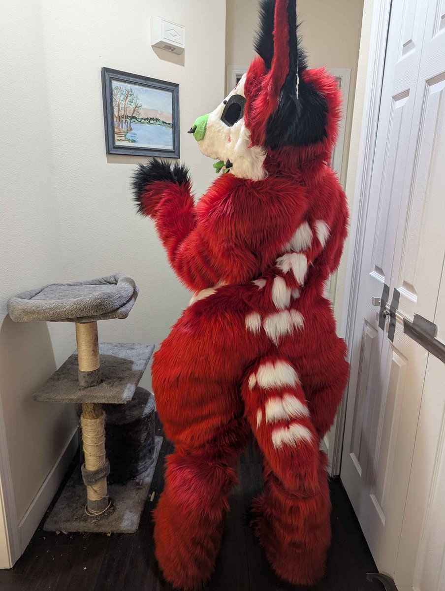 styx🦇 tweet media