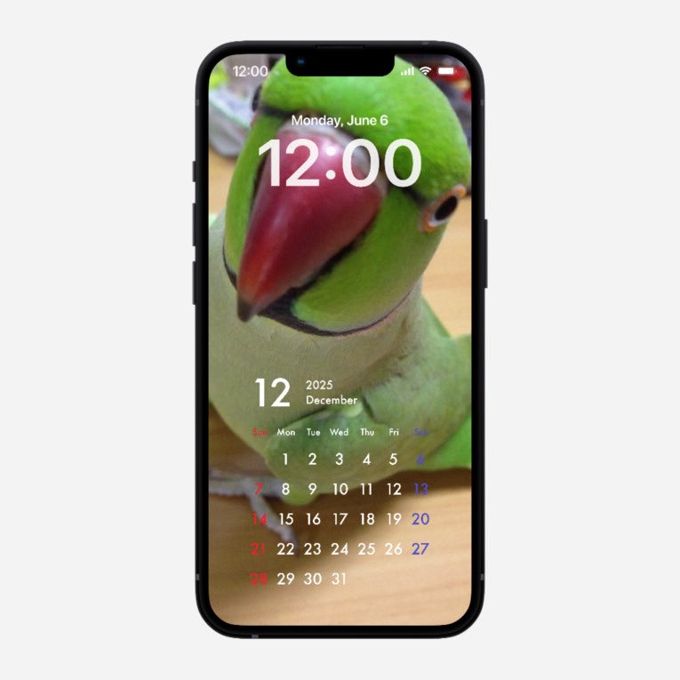 🦜わさびっちょと飼い主ちみこ (@chimiko_) / Posts / X
