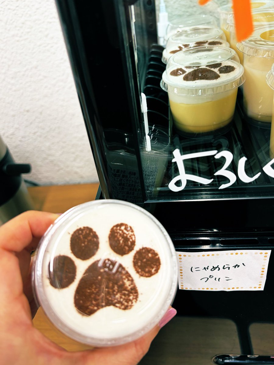pistachico's tweet photo. #水瀬いのり #TravelRecordツアー ファイナル！横アリが狭く感じるほど町民さん達との一体感がヤバかった😭

少女から大人の女性、アーティストとしてどんどん輝きを増してく軌跡を一緒に辿れたのは、最高の追体験でした。ありがとうございました！

#にゃんち〜
#roland #orb 
10周年おめでとう🎉 https://t.co/JXbfAq8tB1
