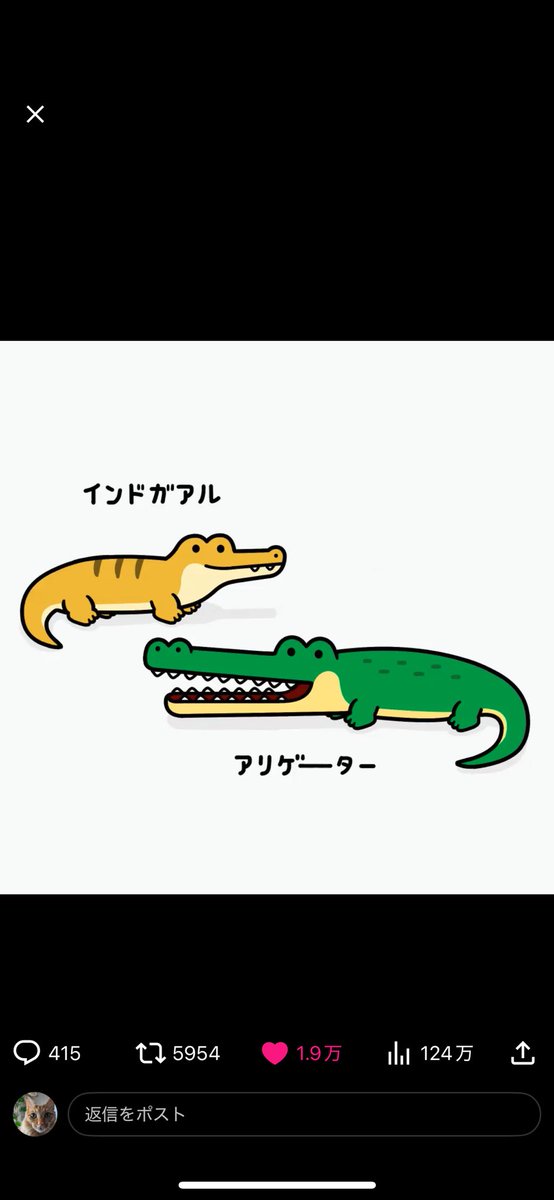 インドガアルかわいいw