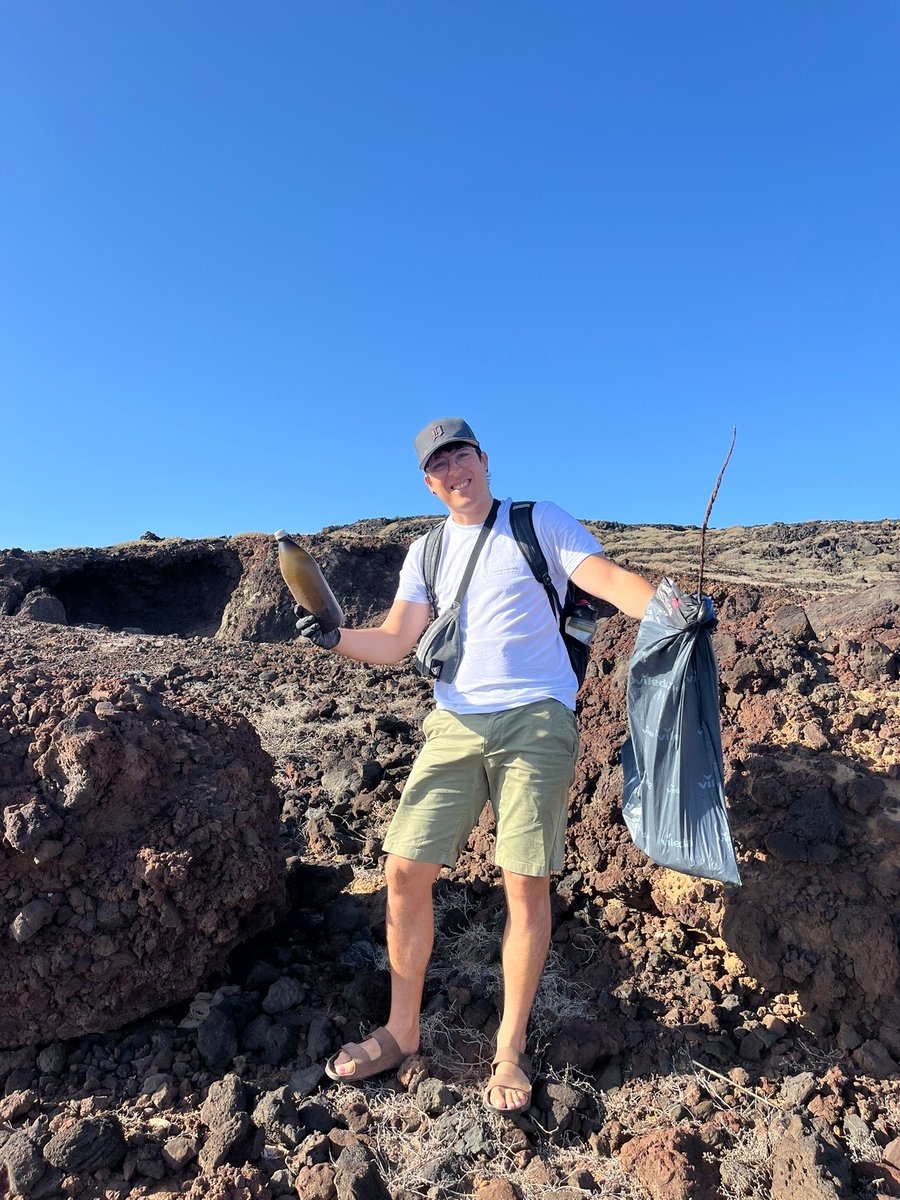 Canary Islands Green tweet media