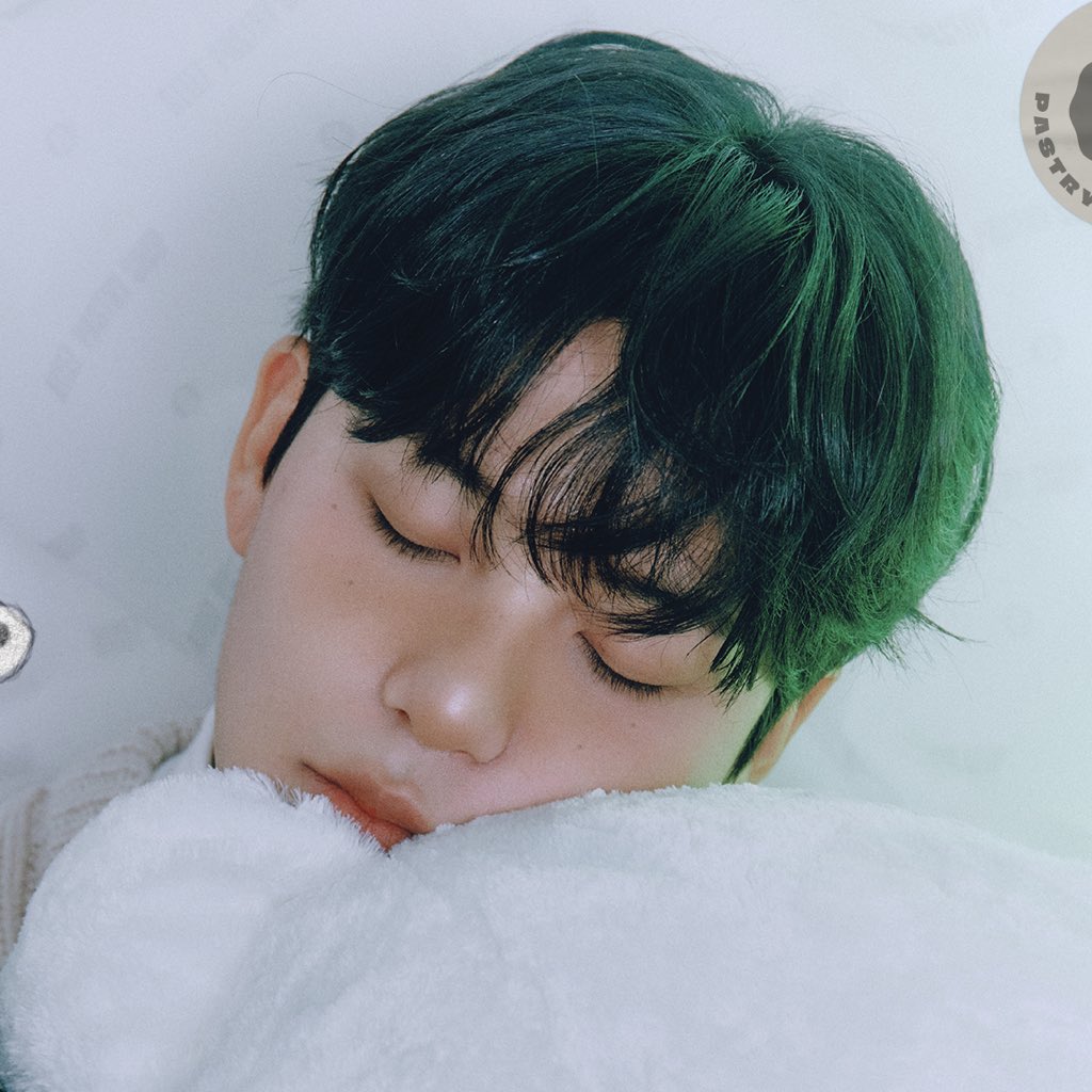 Post by revie on X: ʕ -ᴥ- ʔ