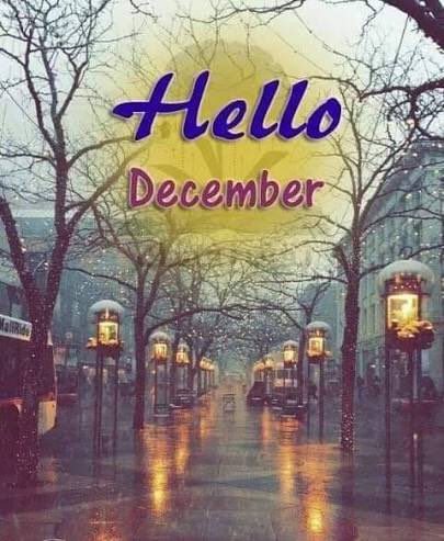 مرحبًا ديسمبر 
انت الأخير فكن الأحن ❤️