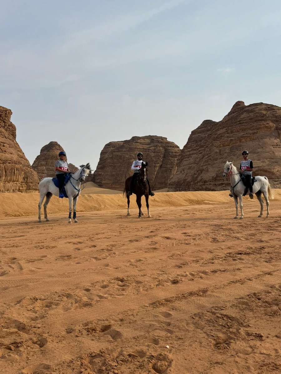 شاركت #أكاديمية_مسار_الفروسية في #سباق_العلا للقدرة والتحمل بثلاث جياد:
1- وافي 120كم، مع المدرب والخيال محمد ابن حسن
2- هاشم 100كم، مع الخيال عمر الفارس
3- موفقة 100كم، مع الخيال عثمان ابن حسن
واجتازت الجياد جميعها بنجاح ولله الحمد...
#كأس_الاتحاد_السعودي_للفروسية_للقدرة_والتحمل