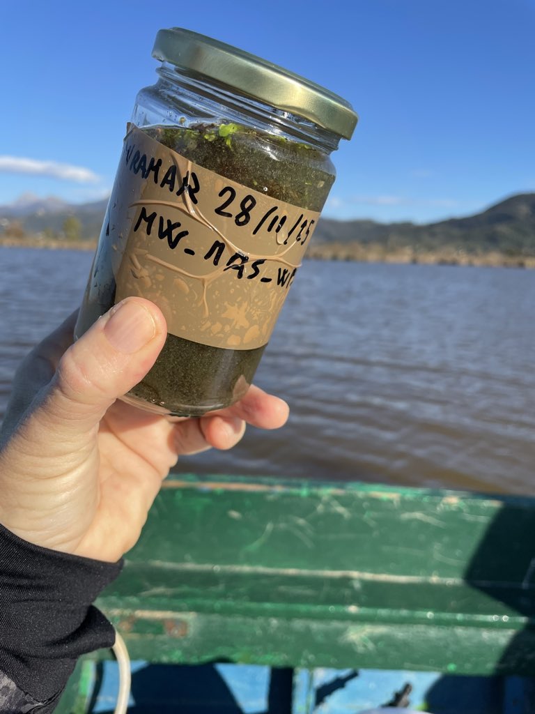 Plastic Busters tweet media