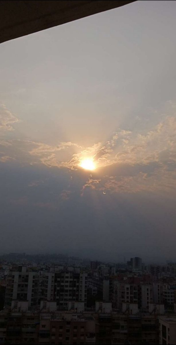 trushachau63997's tweet image. 