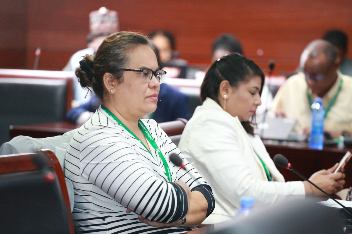 acerwc's tweet image. &quot;State Party Reporting is significant for State Parties. State Parties that complied with reporting obligations enjoy credibility, awareness of areas for improvement, dialogue with the Committee and collaboration with children and Stakeholders.&quot; 

Zwelithini Xaba

#ACRWC35