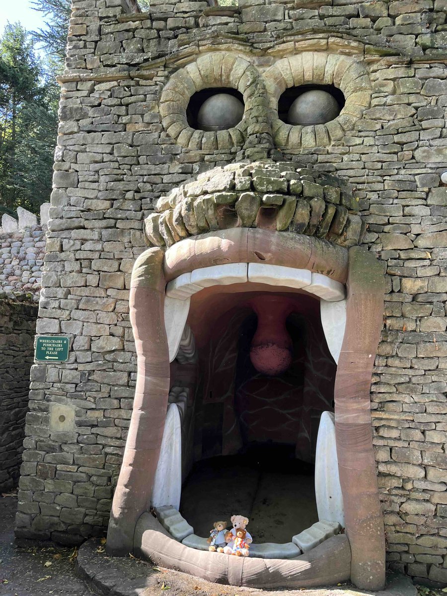 FlynnTheBear's tweet image. WTF! #Flynn #FlynnTheBear #Strange