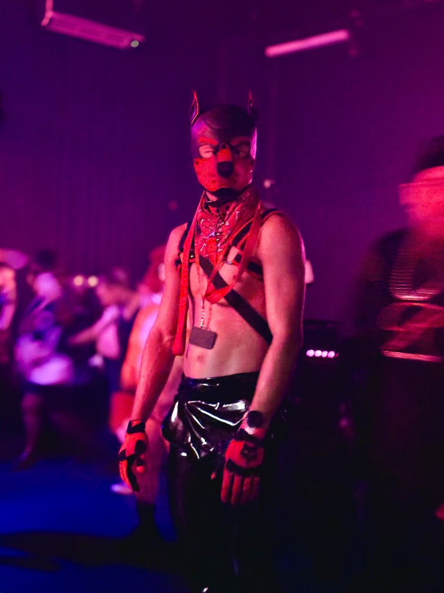 Blurbbub's tweet image. He looks at you from across the room, wyd?

@ViceMelbourne