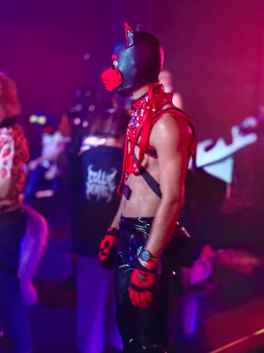 Blurbbub's tweet image. He looks at you from across the room, wyd?

@ViceMelbourne