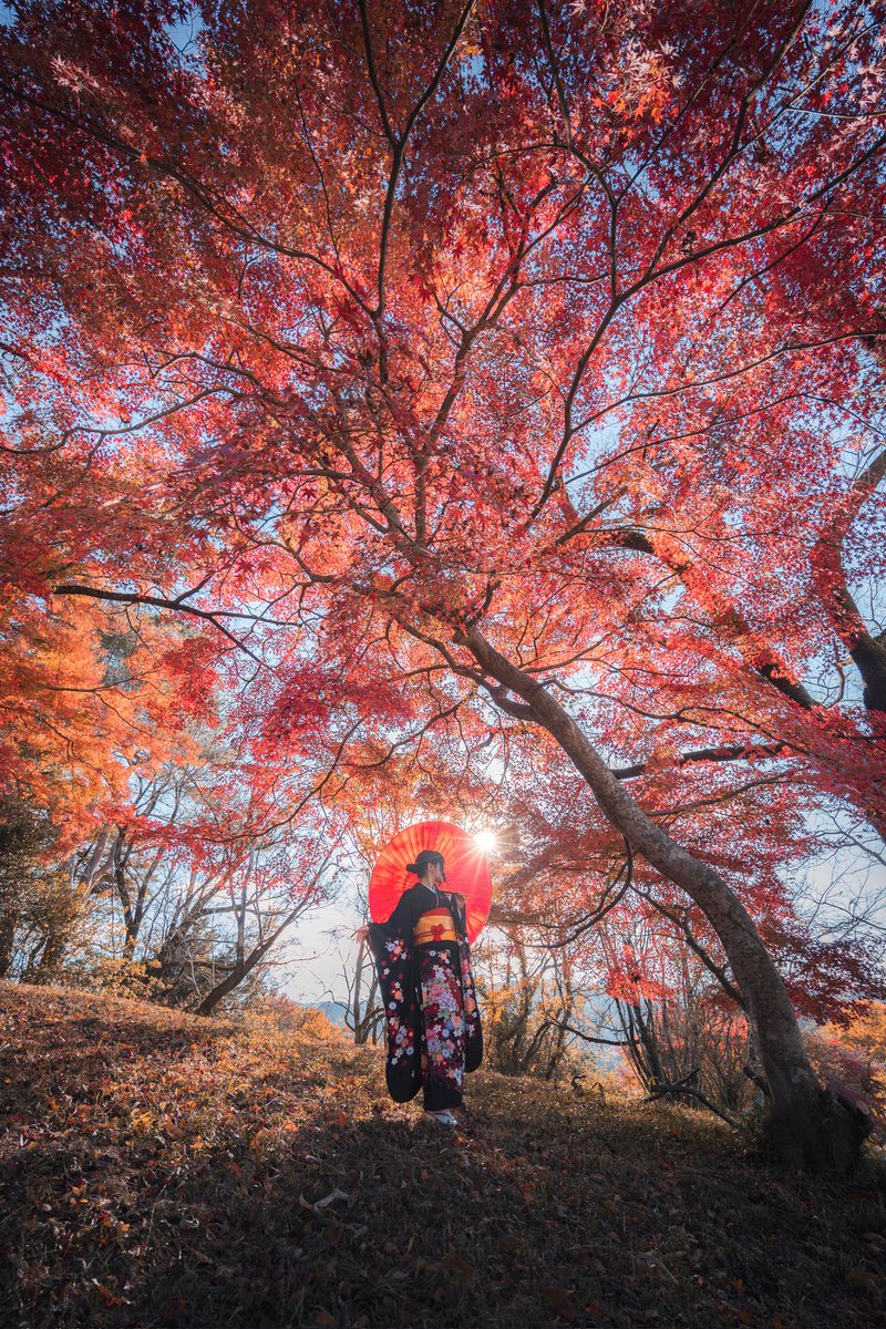 Nao (@Naonox_photo) / Posts / X